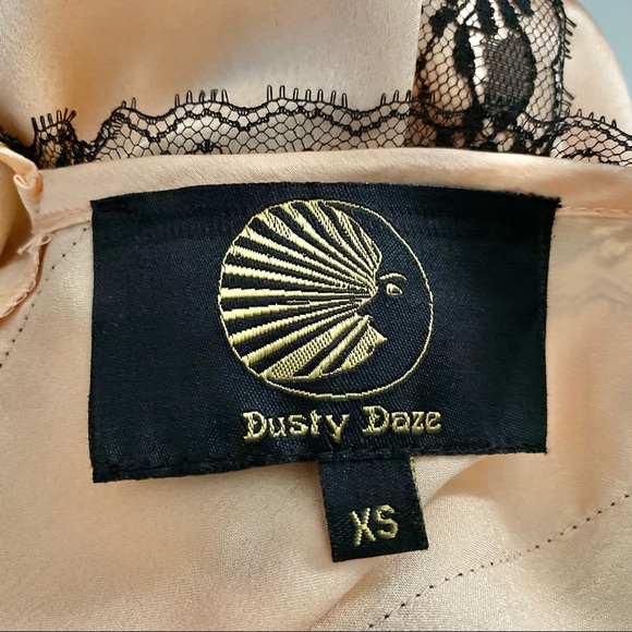 Dusty Daze Flapper Embroidered Sheer Dress - Picture 14 of 14